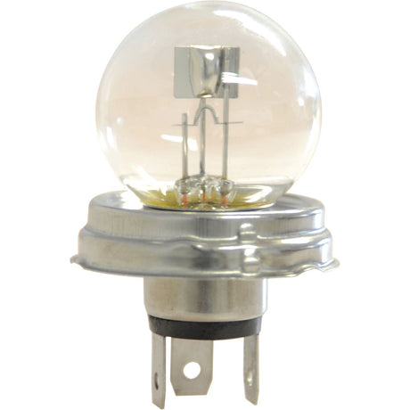 Halogen Head Light Bulb, 12V, 40W, P45t Base
 - S.109984 - Farming Parts