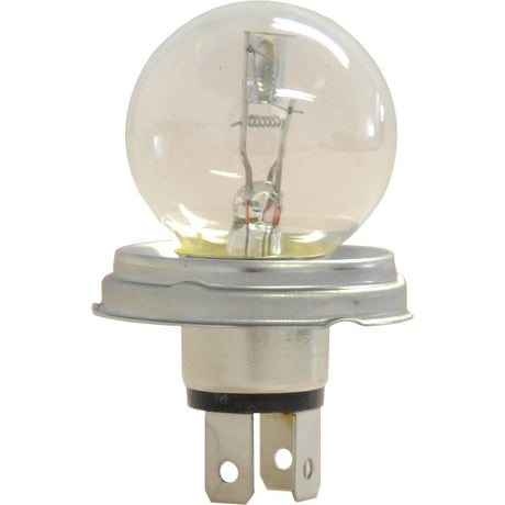 Halogen Head Light Bulb, 24V, 50W, P45t Base
 - S.109986 - Farming Parts