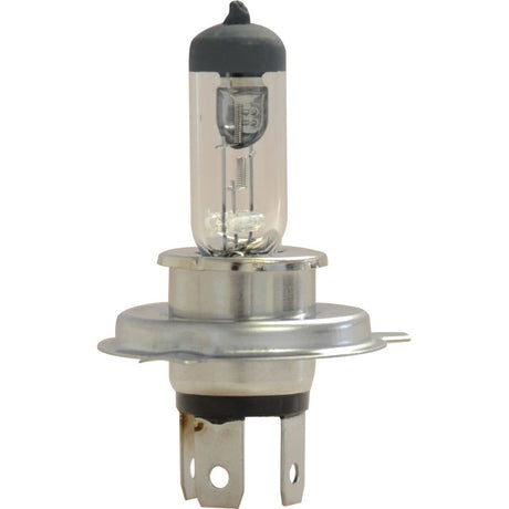 Halogen Head Light Bulb, 12V, 55W, P43t Base
 - S.109987 - Farming Parts