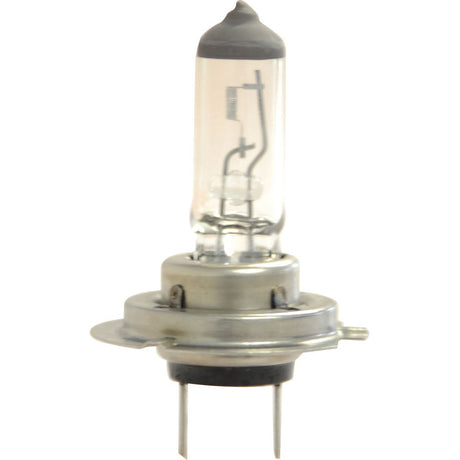 Halogen Head Light Bulb, 12V, 55W, PX26d Base
 - S.109990 - Farming Parts