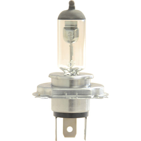 Halogen Head Light Bulb, 12V, 80W, P43t Base
 - S.109991 - Farming Parts