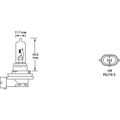 Halogen Head Light Bulb, 12V, 65W, PGJ19-5 Base
 - S.109992 - Farming Parts