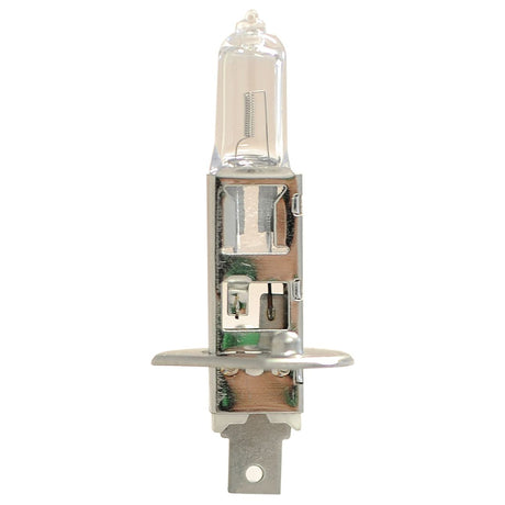 A close-up of a single Sparex Light Bulb (Halogen) with a P14.5s metal base and a clear glass enclosure, rated at 12V and 55W.