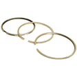 Piston Ring
 - S.110974 - Farming Parts