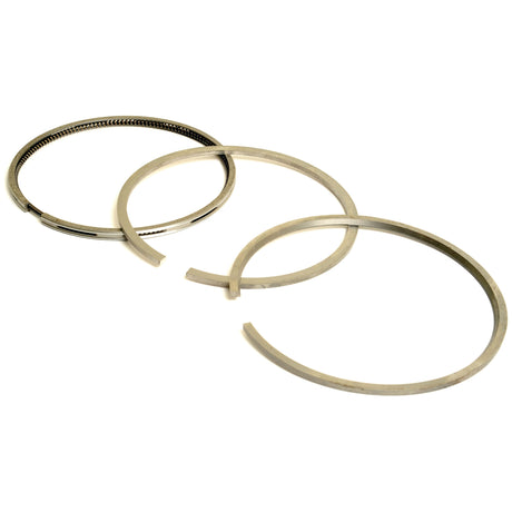 Three metal piston rings of varying diameters, arranged in a triangular layout on a white background, symbolize the precision engineering found in the Sparex Piston Ring | Sparex Part No.S.110974.