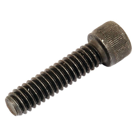 Socket Capscrew, Size: 1/4'' x 1'' UNC (BS 2470)
 - S.11670 - Farming Parts