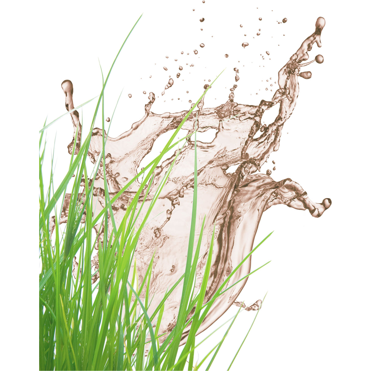 A splash of water mingles with tall green grass on a white background, evoking the rugged durability and flexibility of the Sparex Tanker Hose (Merlett Vacupress Flex), ID 50mm (2") - S.135719, perfect for nature-themed designs.