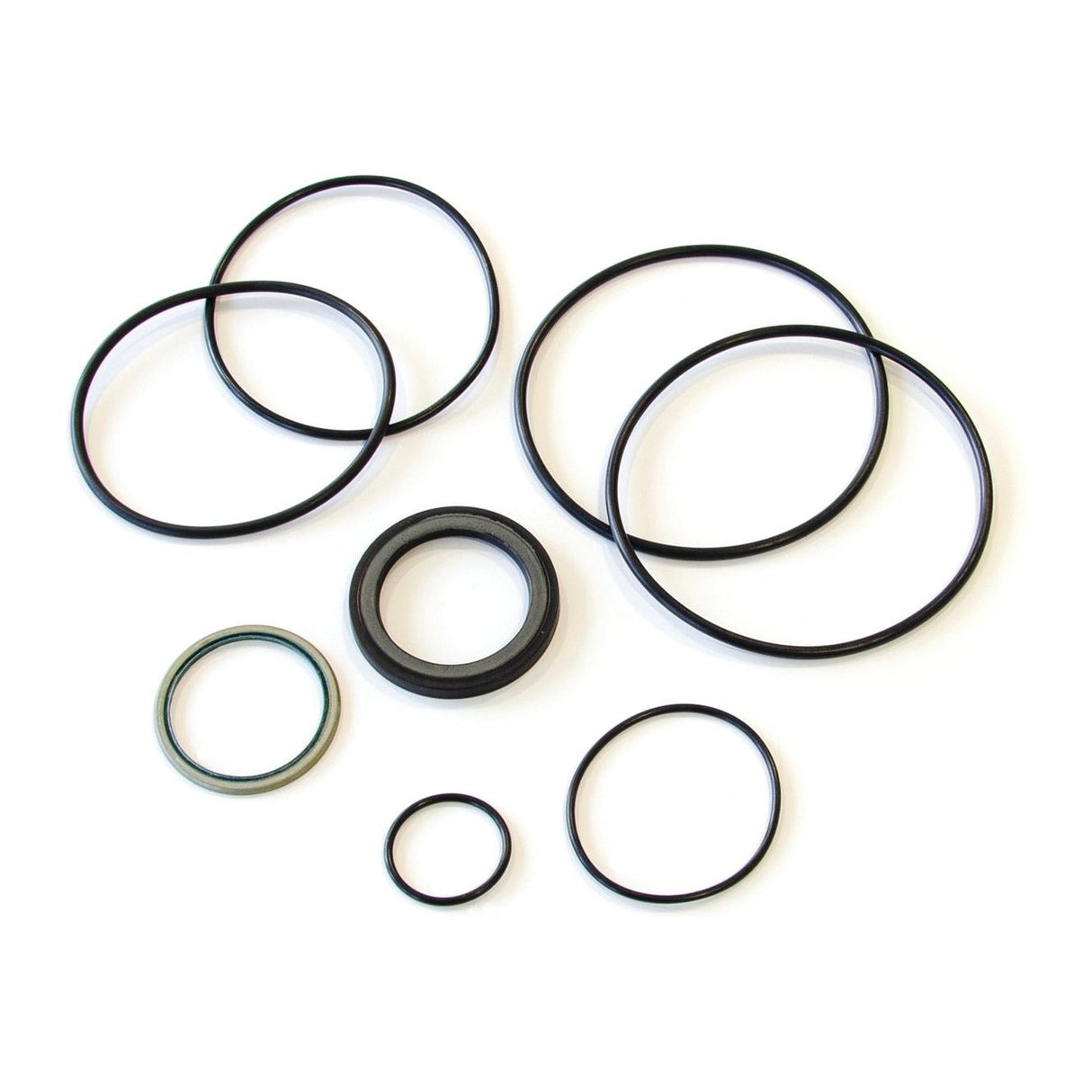 A set of nine black rubber o-rings in different sizes, part of the Trale Orbital Motor Seal Kit OMH (Sparex Part No.S.153126) from Sparex, displayed on a white background.