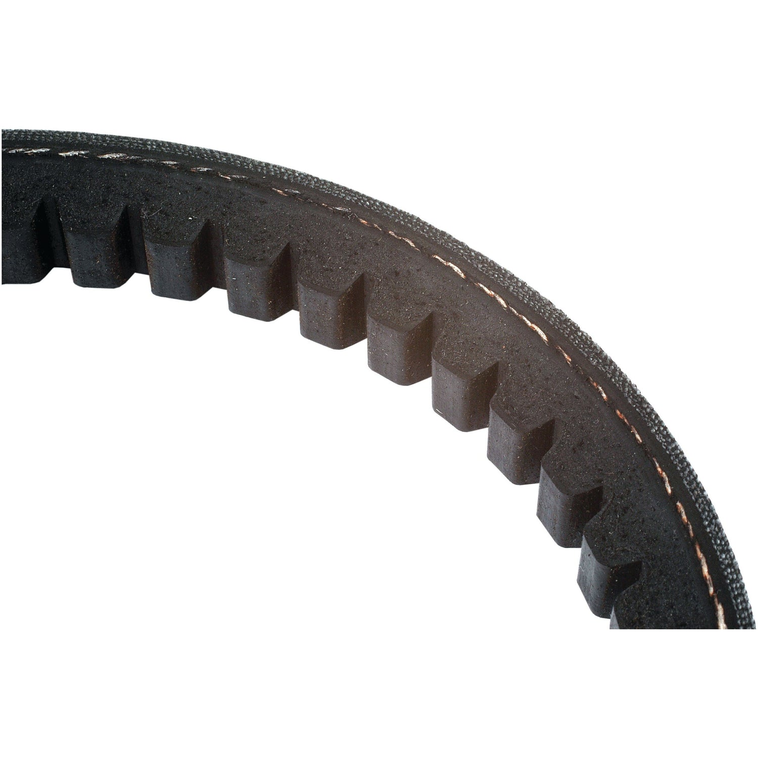 Close-up of a section of a Sparex Raw Edge Moulded Cogged Belt - AVX17 Section (Belt No. AVX17x1328), featuring teeth and a fabric-reinforced edge, Sparex Part No. S.19118.