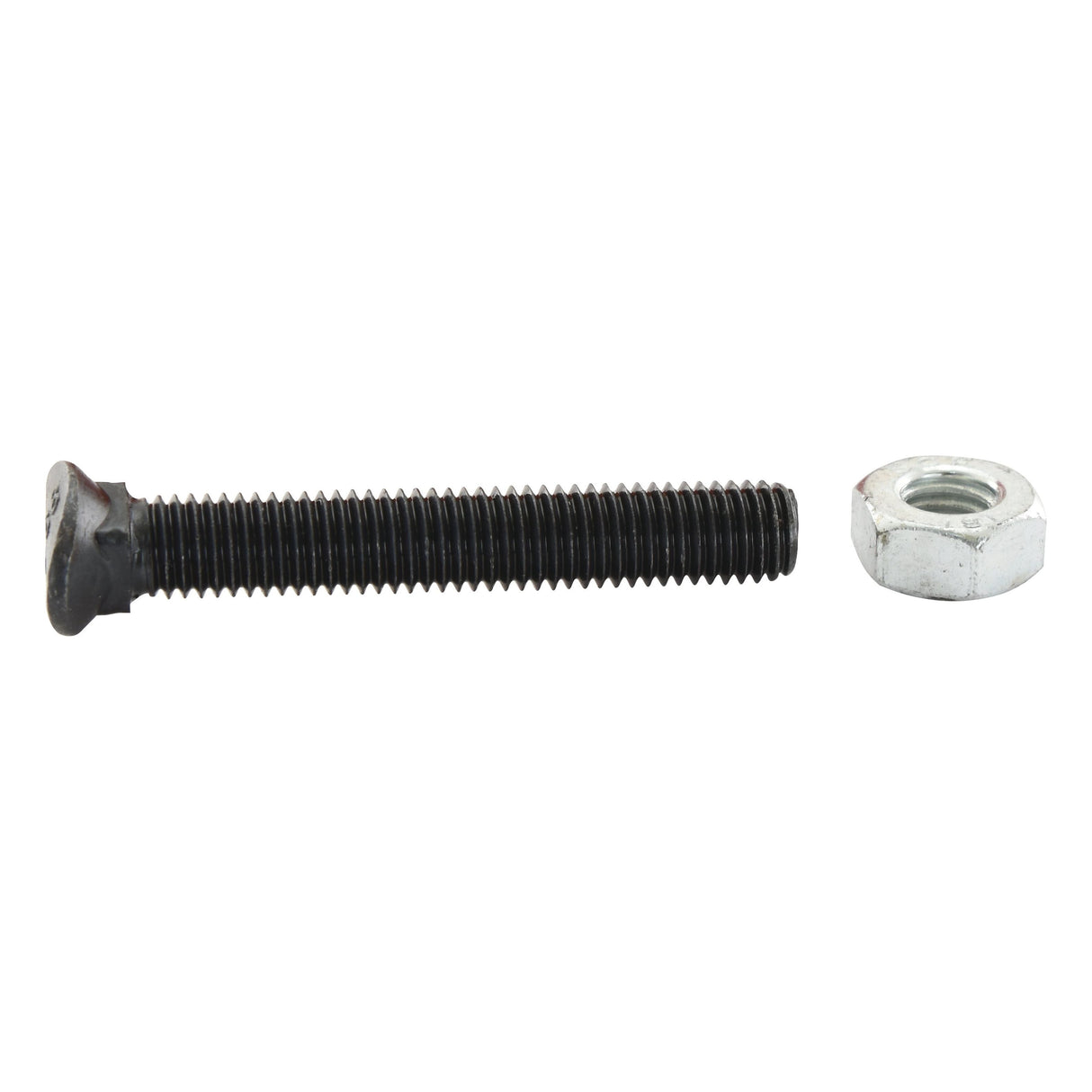 Oval Head Bolt Square Collar With Nut (TOCC) - M8 x 35mm, Tensile strength 8.8 (10 pcs. Agripak)
 - S.27538 - Farming Parts