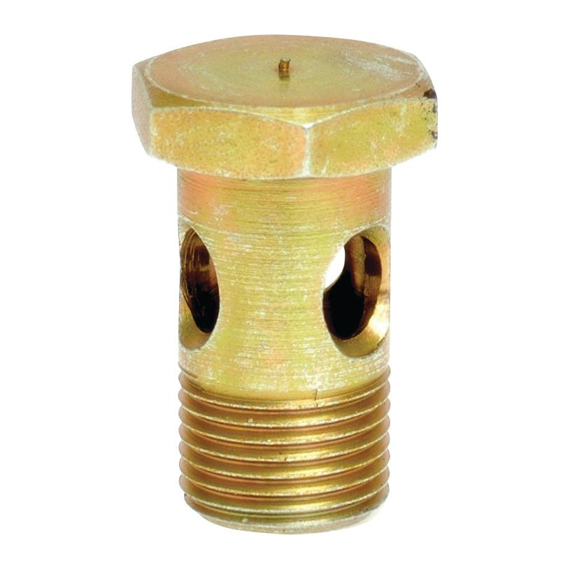 Banjo Bolt M10 x 1.00 - 19mm
 - S.3761019 - Farming Parts