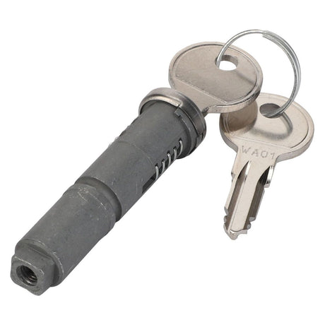 Massey Ferguson - Door Lock And Key Kit - 3901523M91 - Farming Parts