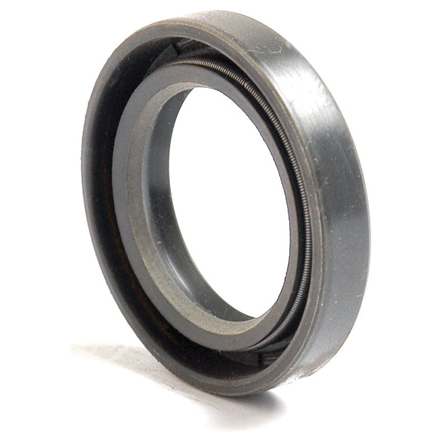 Close-up of a Metric Rotary Shaft Seal, 25 x 38 x 7mm Double Lip (Sparex Part No. S.50205). This mechanical seal by Sparex features a coiled spring and combines metal and rubber for a robust solution.
