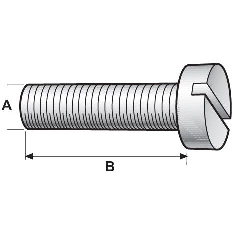 Illustration of a stainless steel slotted head screw with a threaded shaft. It displays two dimensions: diameter (A) and length (B). This is a Sparex Metric Cheese Head Machine Screw, M3x10mm (DIN 84), Sparex Part No.S.54072.