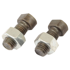 Conical Head Bolt 2 Flats With Nut (TC2M), Replacement for Rabewerk
 - S.76191 - Farming Parts