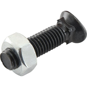Oval Head Bolt Square Collar With Nut (TOCC) - M10 x 45mm, Tensile strength 8.8 (25 pcs. Box)
 - S.77116 - Farming Parts