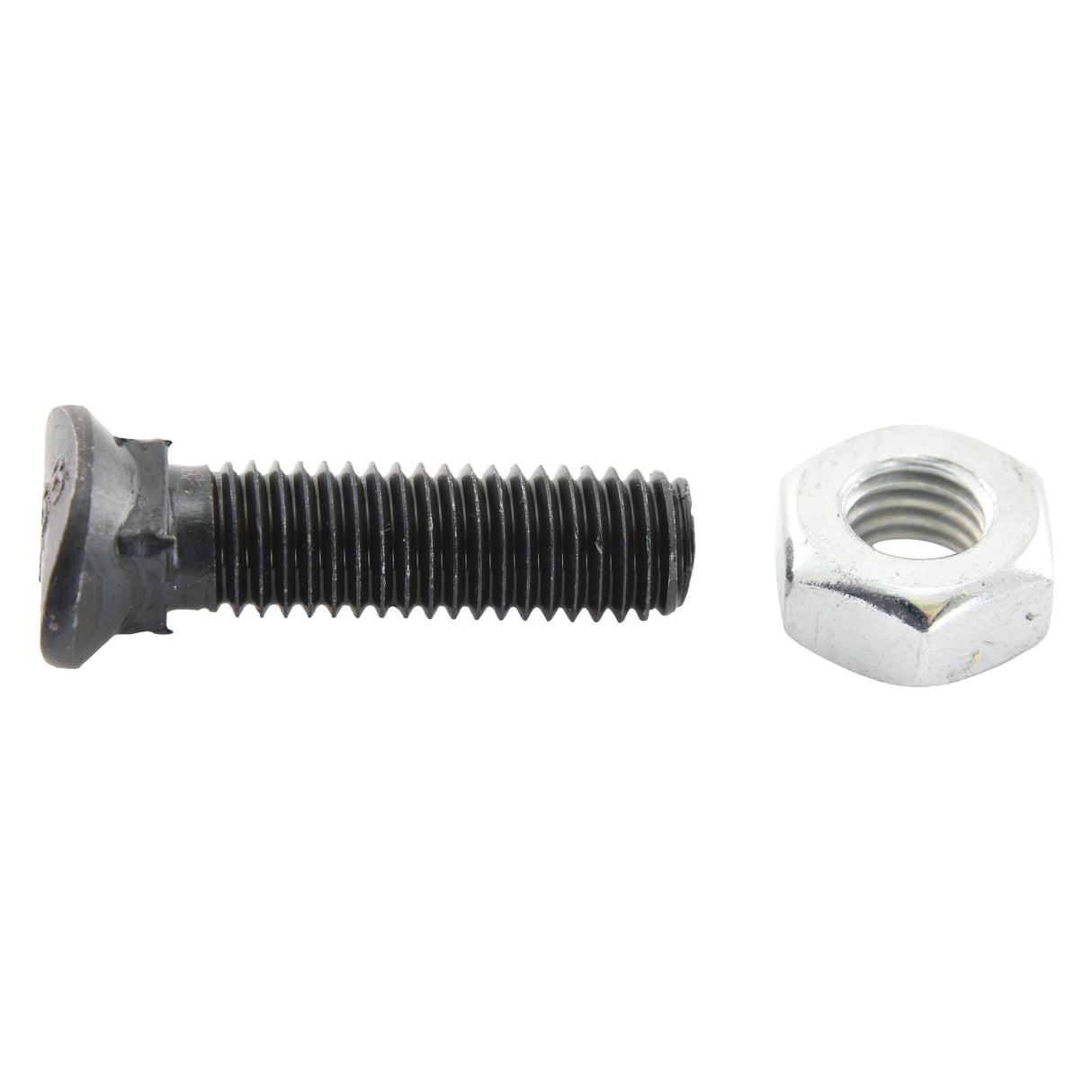 Oval Head Bolt Square Collar With Nut (TOCC) - M10 x 38mm, Tensile strength 8.8 (25 pcs. Box)
 - S.78770 - Farming Parts