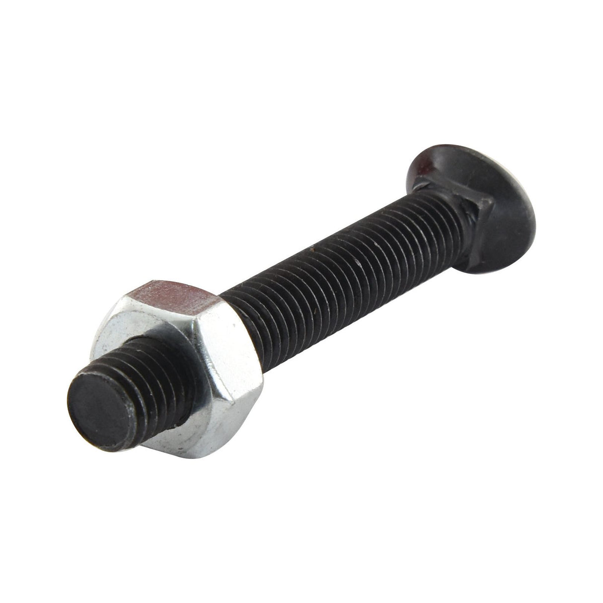 Oval Head Bolt Square Collar With Nut (TOCC) - M10 x 70mm, Tensile strength 8.8 (25 pcs. Box)
 - S.78772 - Farming Parts