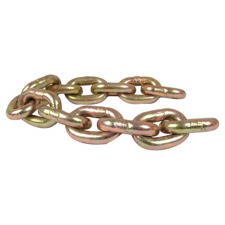 Flail Chain 1/2" x 13 Link Replacement for Kidd - S.78879 - Farming Parts
