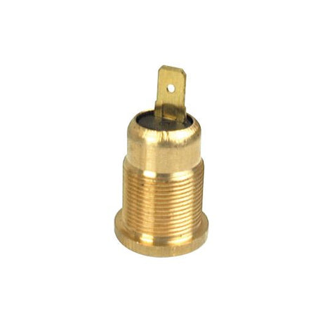 A Sparex Beacon Fixing Pin (Screw Type), Part No. S.14846, features a brass electrical terminal with a threaded base and a single flat connector pin, compatible with the Sparex beacon fixing pin.