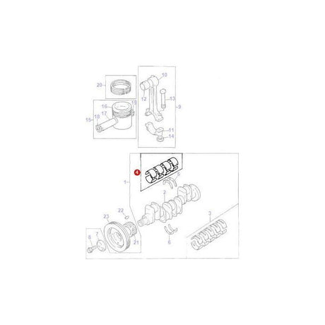 Bearing Kit Conrod - 736950M91 - Massey Tractor Parts