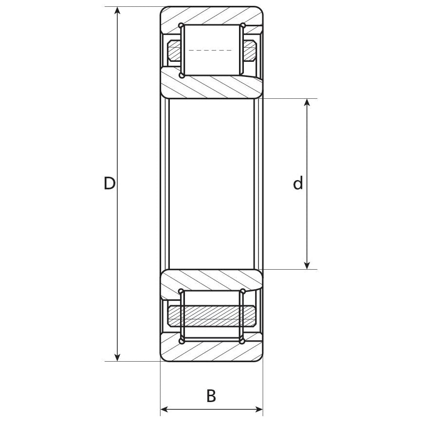 Technical drawing of a cylindrical roller bearing with labeled dimensions: outer diameter (D), inner diameter (d), and width (B), available from Massey Ferguson under the product name Bearing - S.40782 by Sparex.