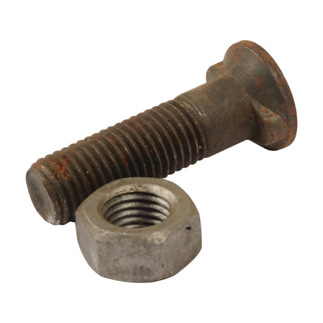 A rusty bolt with a hexagonal nut placed below it against a white background, resembling components from the Bolt Kit, Replacement for Fiskars (Sparex Part No.S.76238) by Sparex.