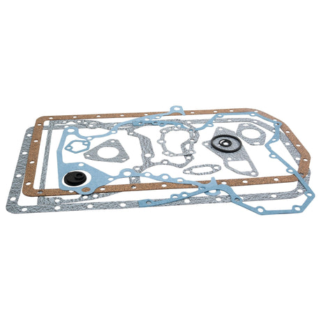 A set of Sparex Bottom Gasket Set - 4 Cyl. (4.219D, 4.239D, 4.239T, 4.039D, 4.039T) automotive gaskets and engine parts in various shapes and sizes, including rectangular, circular, and asymmetrical pieces, laid out on a white background.
