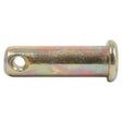 The Brake Rod Clevis Pin (Sparex Part No. S.42610) by Sparex features a metal pin with a circular hole near one end and a rounded head on the opposite end, reminiscent of the robust components utilized in Massey Ferguson machinery. The surface exhibits a subtle iridescence.
