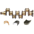 A Crankshaft Kit (4 Cyl.) A4.236/A4.248 - S.41641 by Sparex, featuring connecting rod bearings, main bearings, and thrust washers arranged around a crankshaft, isolated on a white background.