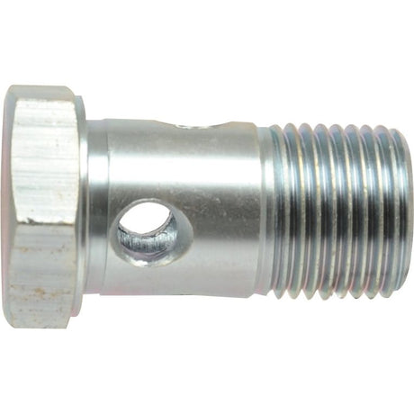 Image shows a Sparex Dicsa BSP Banjo Bolt 1/4'' (Sparex Part No. S.116711) with a hexagonal head, threaded body, and a through-hole in the shaft.