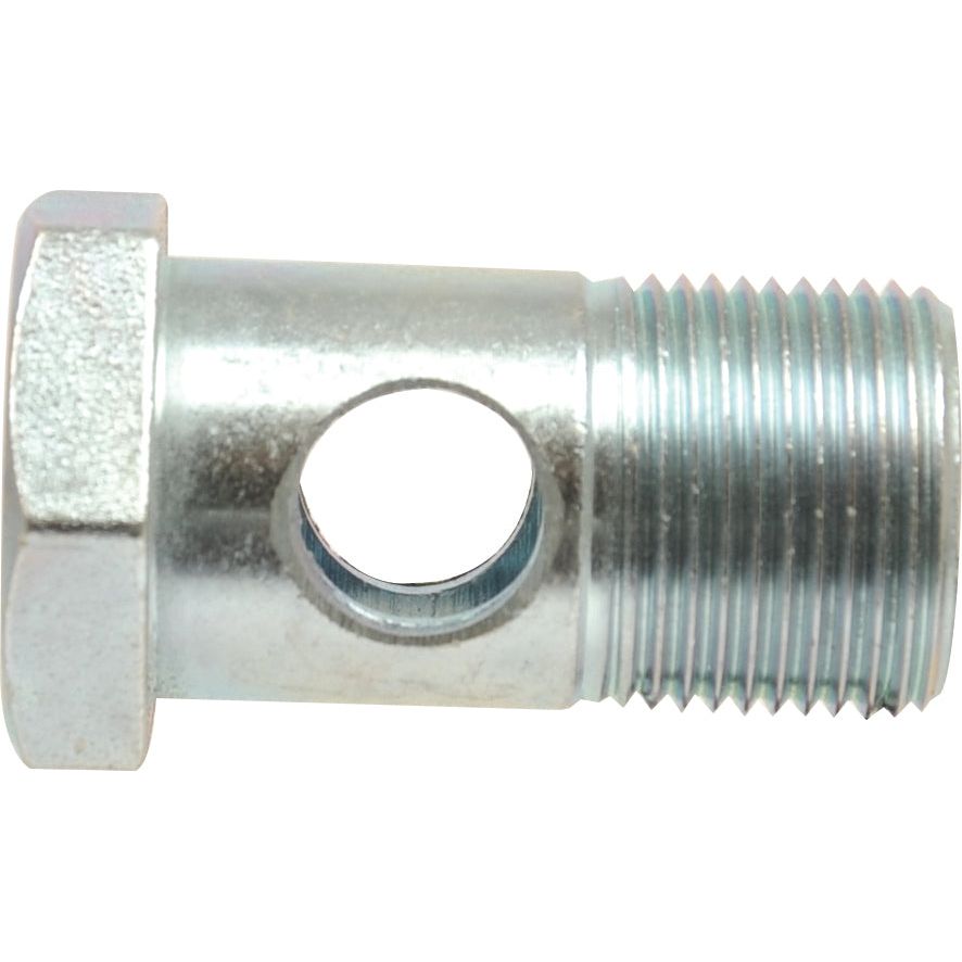 Dicsa Metric Banjo Bolt M10 x 1
 - S.116862 - Farming Parts