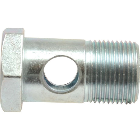 Close-up of a Sparex Dicsa Metric Banjo Bolt M10 x 1 (Sparex Part No. S.116862) with a hexagonal head, a smooth cylindrical section featuring a hole in the middle, and an M10 x 1 threaded section on the right side.