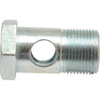 The Dicsa Metric Banjo Bolt M12 x 1.5, known as Sparex Part No.S.116863, manufactured by Sparex, is a metallic banjo bolt with a hexagonal head and cylindrical body featuring a large central hole. Threads are visible on the right end, making it an ideal choice for various applications.