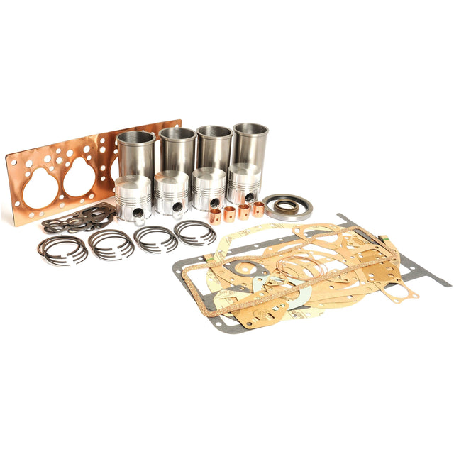 An arrangement of automotive engine components including pistons, gaskets, rings, and seals from the Sparex Engine Overhaul Kit without Valve Train (Finished) - S.44016, displayed neatly against a white background.