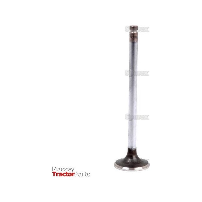 A single metal exhaust valve, branded with the Massey Tractor Parts logo in the bottom left corner and displayed against a white background. The Exhaust Valve | Sparex Part No.S.58712, compatible with Leyland models, exemplifies Sparex's quality craftsmanship.