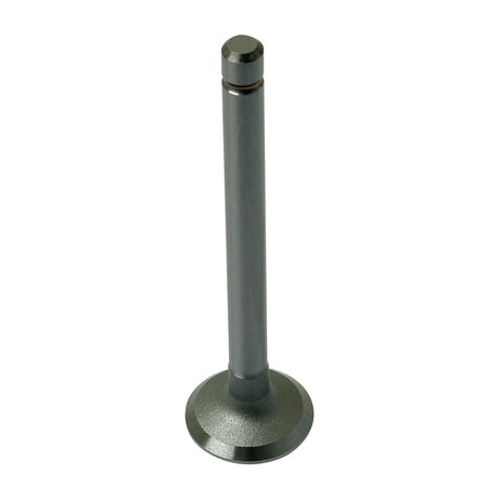A Sparex Exhaust Valve Standard, Part No. S.22455, featuring a bulbous base and cylindrical stem, isolated on a white background.