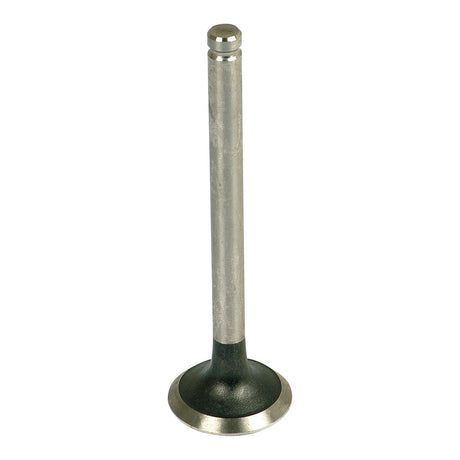 The Sparex Exhaust Valve Standard (Sparex Part No. S.40488) is a metal engine valve featuring a cylindrical stem and a rounded, flat base, designed for use in an internal combustion engine and compatible with the Allis Chalmers 170.
