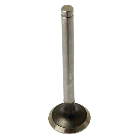 A single metallic exhaust valve with a flat circular base and a cylindrical shaft, compatible with Perkins engines, branded as Sparex and listed as Exhaust Valve Standard | Sparex Part No. S.41745.