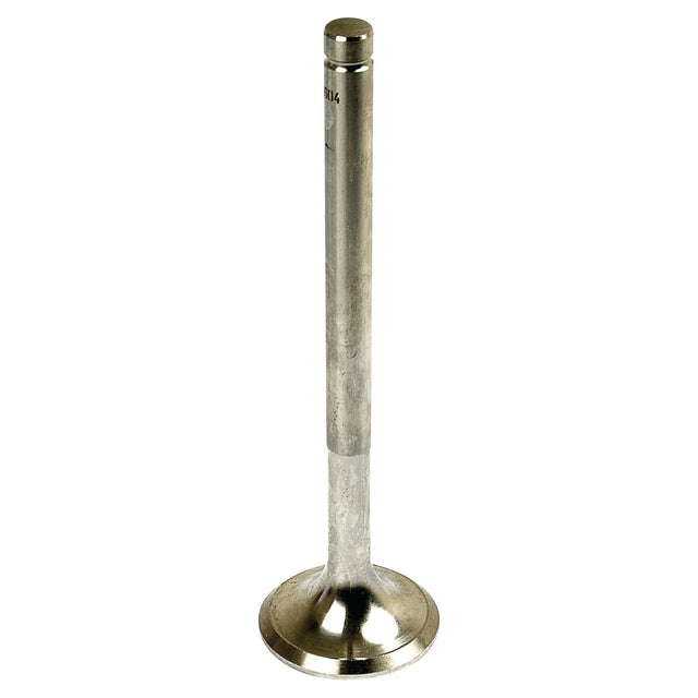 The Sparex Exhaust Valve Standard (Part No. S.57604) from Case IH features a metal engine valve with a cylindrical stem and a flat, circular base. The valve appears clean and unblemished.