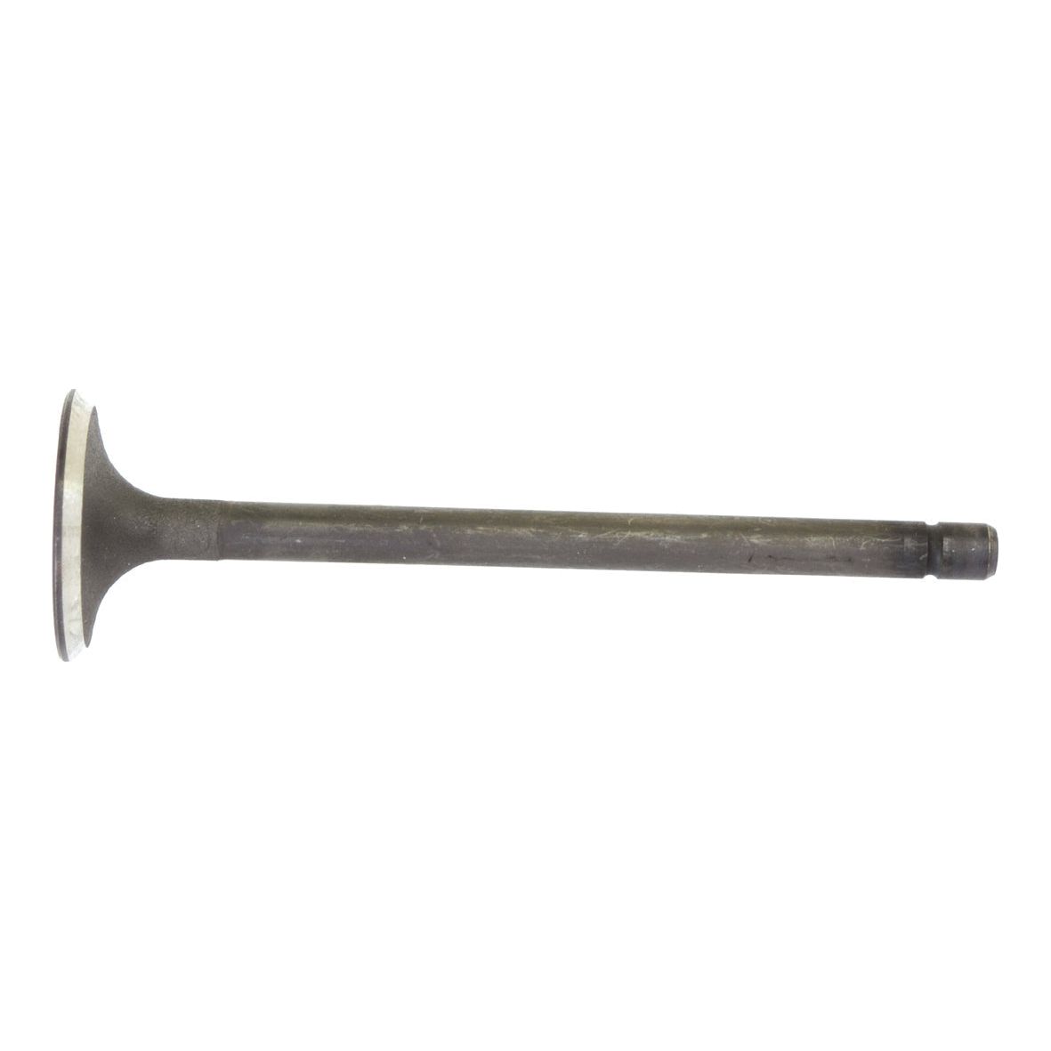 A Sparex Exhaust Valve Standard (Sparex Part No.S.62059) with a flat round head and a long cylindrical stem against a white background, resembling the specifications of an Allis Chalmers 5040.