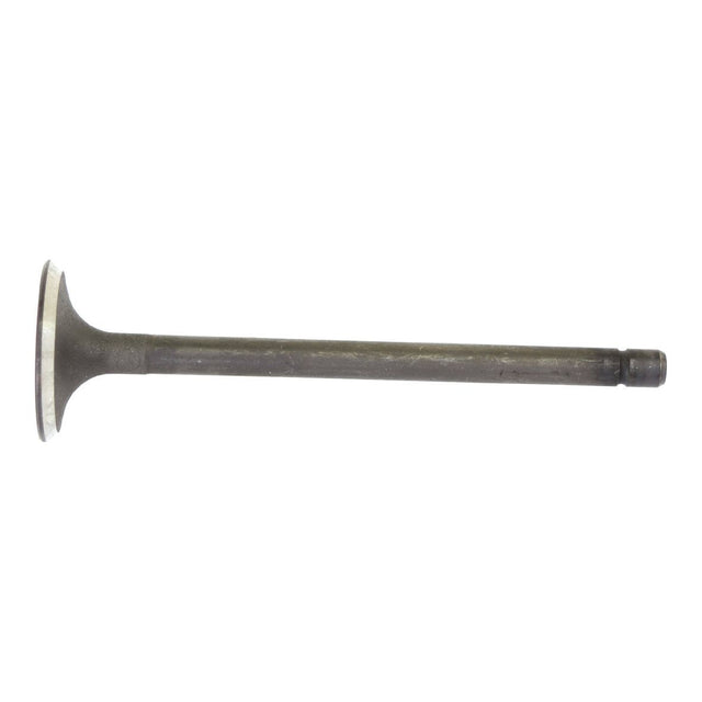 A metal engine valve from Sparex, model Exhaust Valve Standard | Sparex Part No.S.62059, featuring a flat, circular end and a long, cylindrical shaft displayed on a white background.