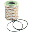 The Sparex Fuel Filter - Element (Sparex Part No. S.40540) is a cylindrical filter featuring a perforated metal casing and includes two rubber sealing rings placed beside it, making it suitable for David Brown and Massey Ferguson tractors.