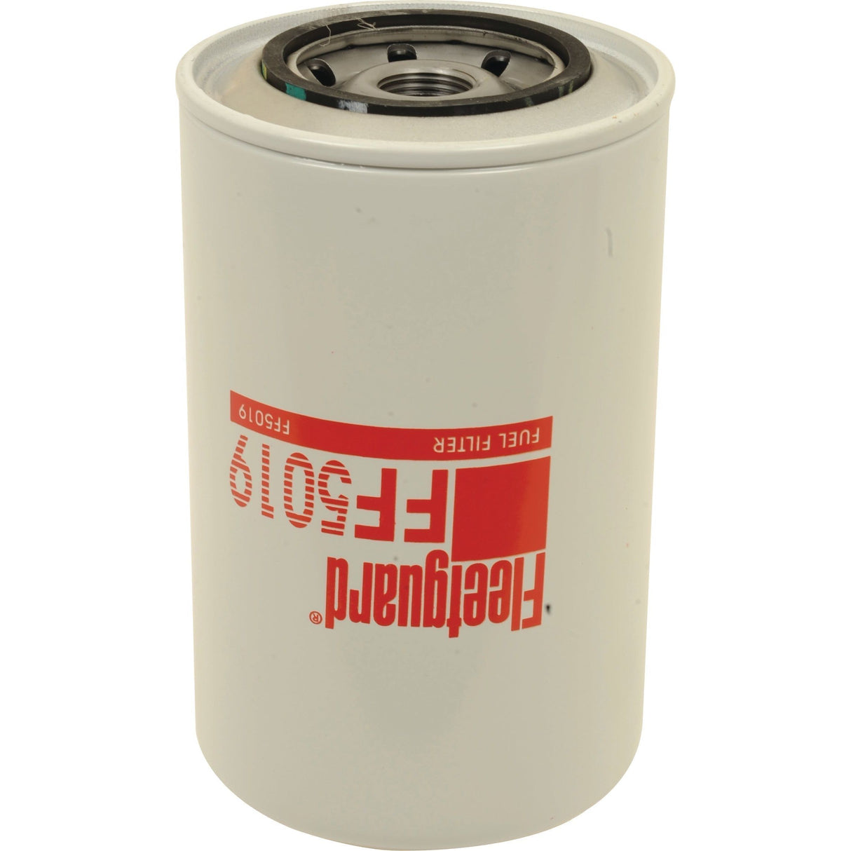 An upside-down view of a white Sparex fuel filter with the model number FF5019 and the brand name printed in red.