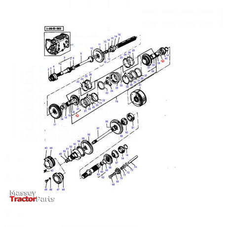 Massey Ferguson Gear - 1867248M93 | OEM | Massey Ferguson parts | Hydraulic Pumps-Massey Ferguson-Axles & Power Train,Farming Parts,Gears,Rear Axle,Rear Differential Parts,Tractor Parts