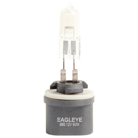 A halogen light bulb labeled "Sparex Light Bulb (Halogen) 12V, 50W, PG13 (Box 1 pc.) | Part No.S.23458" with a gray plastic base and metal prongs, suitable for Ford/New Holland.