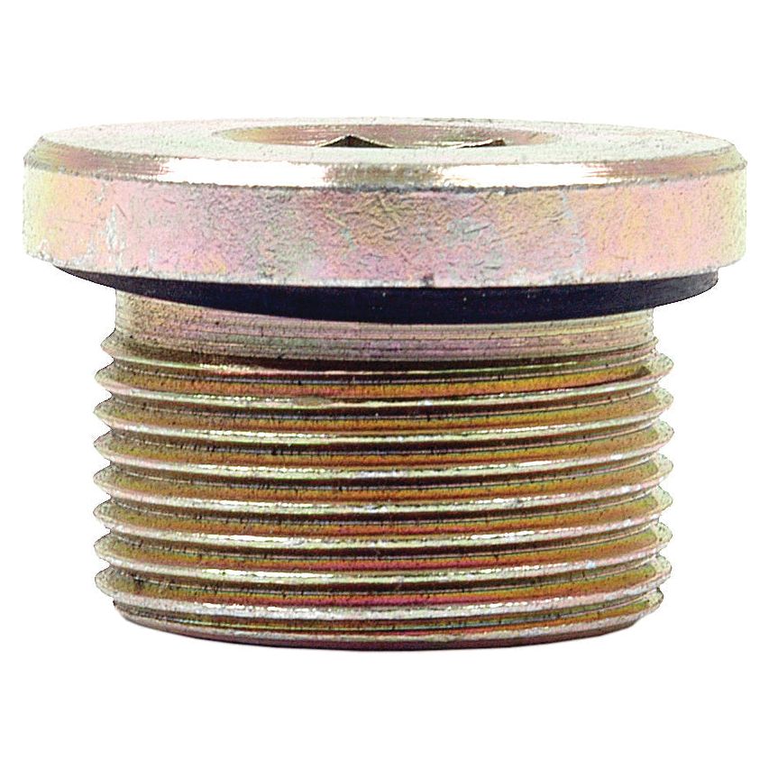 A cylindrical metal plug with external threading and a flat head, like the Hydraulic Blanking Plug Adaptor M26 x 1.5 (Sparex Part No. S.34237), is used for sealing or closing openings in various applications.