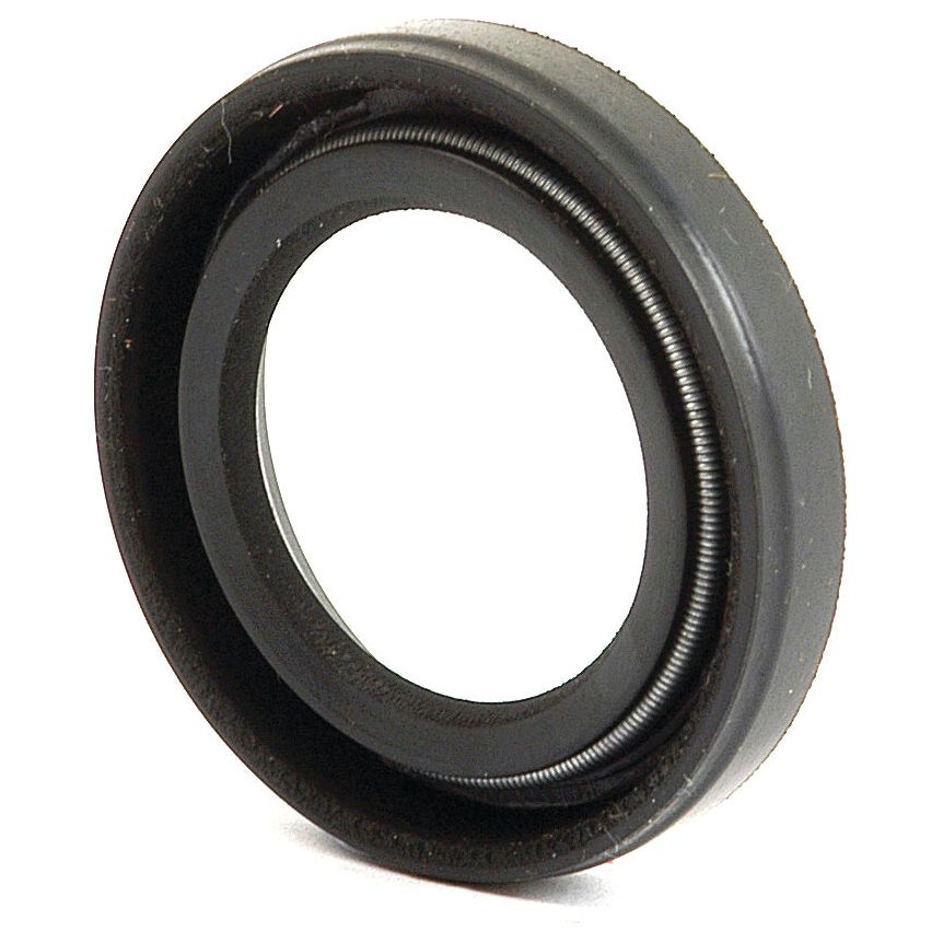 A close-up of a black rubber and metal oil seal with a circular shape, showing fine details including a coiled spring on the inner edge. This 7/8'' x 1 3/8'' x 1/4'' Single Lip Imperial Rotary Shaft Seal is made by Sparex, identified by part number S.41371.