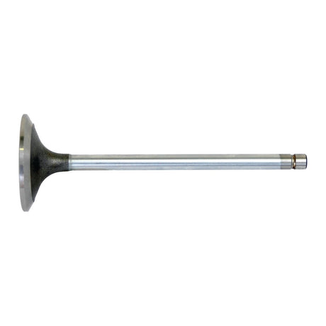 Close-up of a single Sparex Inlet Valve, Part No. S.31616, featuring a thin shaft and a flat, circular head. The valve is laid horizontally on a white background.