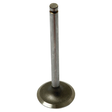 A Sparex Inlet Valve (Part No. S.40477), featuring a 35° seat angle, is displayed upright against a white background, perfect for use in Landini tractors.